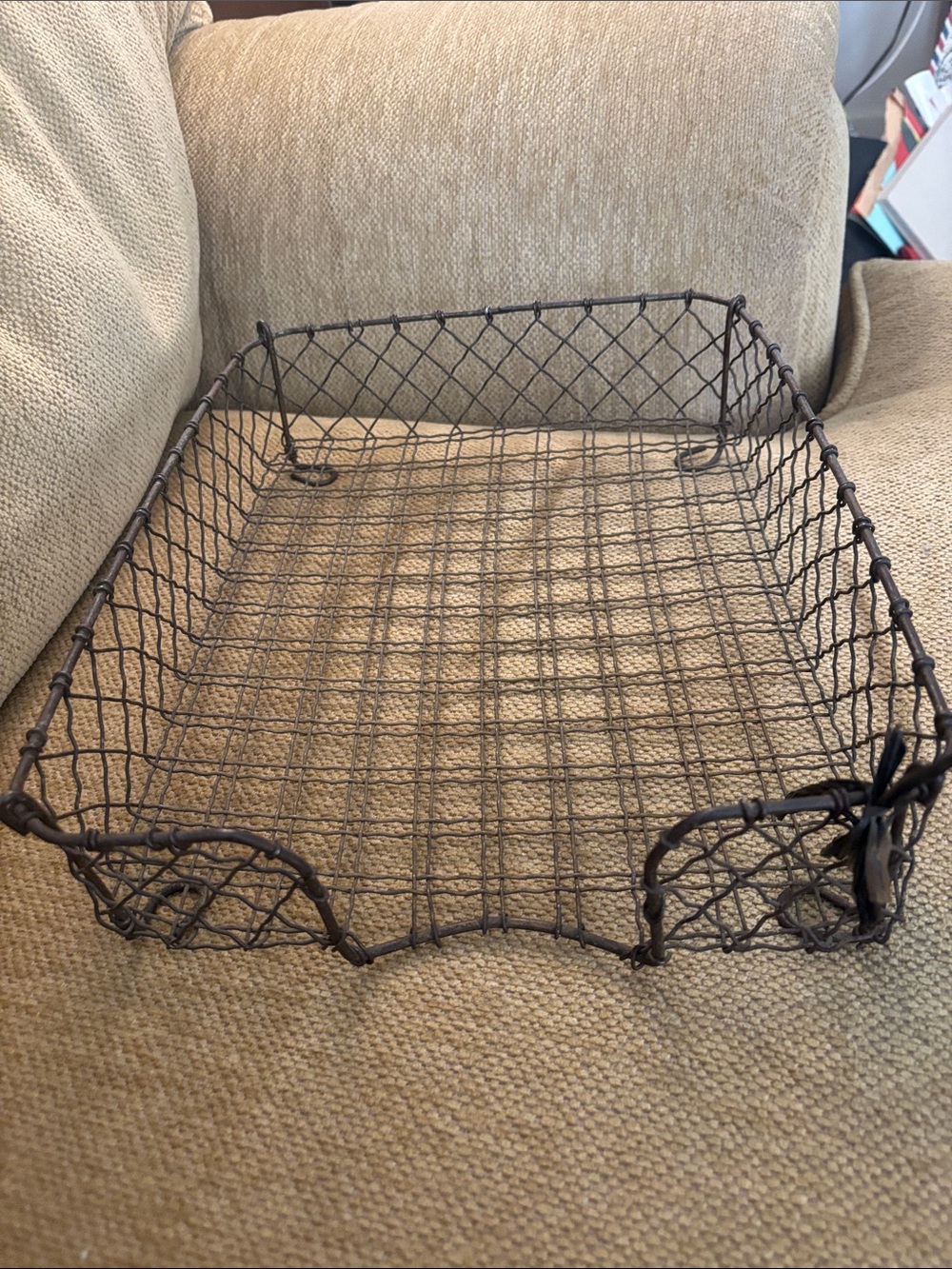 Wire Mesh Tray - Brown Vintage  Wire Organizer